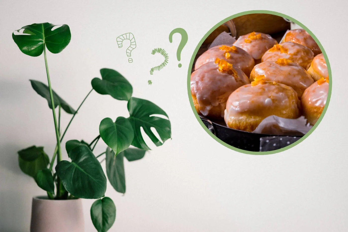 Tlusty czwartek: jak wygladalyby paczki gdyby byly roslinami