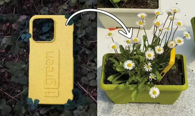 Nie uwierzysz, ale to etui do telefonu mozesz posadzic i wyrosna kwiaty