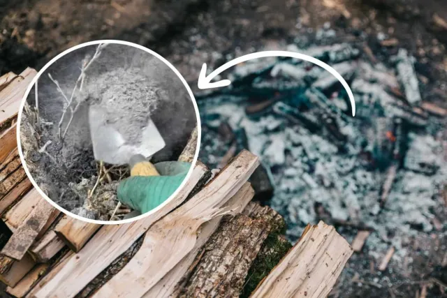 Nie wyrzucaj popiolu drzewnego! Wykorzystaj go jako naturalny i swietny nawóz do roslin