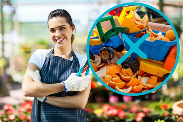 Uzyj nawozu ze skórek pomaranczy a Twoje kwiaty rozkwitna jak nigdy dotad