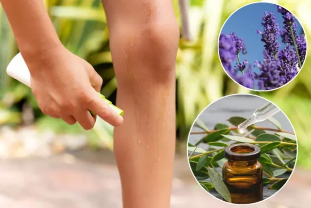 Meszki nie znosza tych zapachów. Naturalne metody na odstraszanie meszek