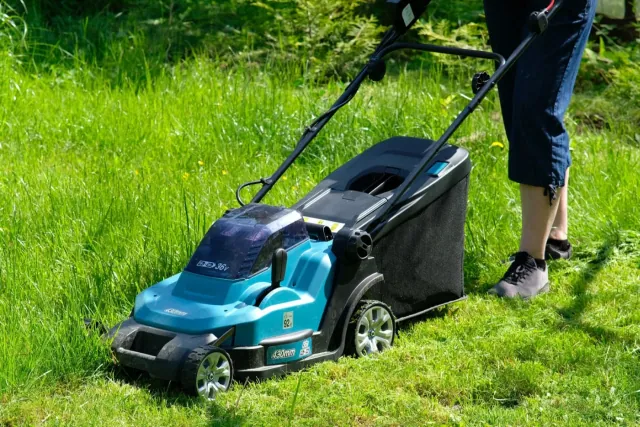 Nie wyrzucaj skoszonej trawy! Sprawdz, jak moze sie przysluzyc w Twoim ogrodzie