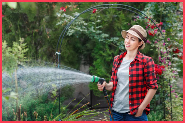 Nie chodzi o to ile podlewasz tylko jak i kiedy. Zobacz, co działa
